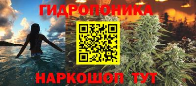 гидропоника Гусиноозёрск