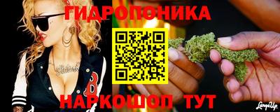 прущая мука Гусев