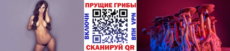 Галлюциногенные грибы Magic Shrooms  Сорочинск 