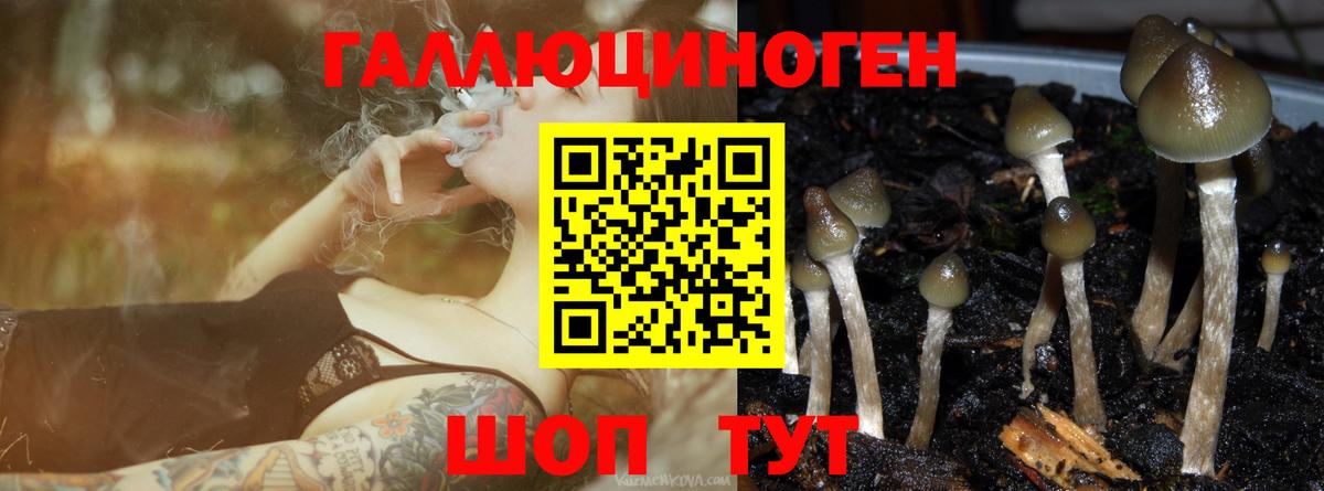 Галлюциногенные грибы прущие грибы Сорочинск